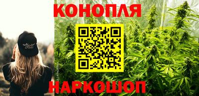 jwh Будённовск