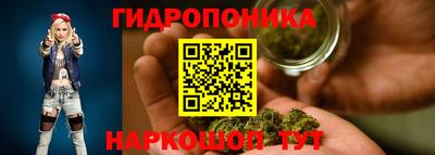 jwh Будённовск