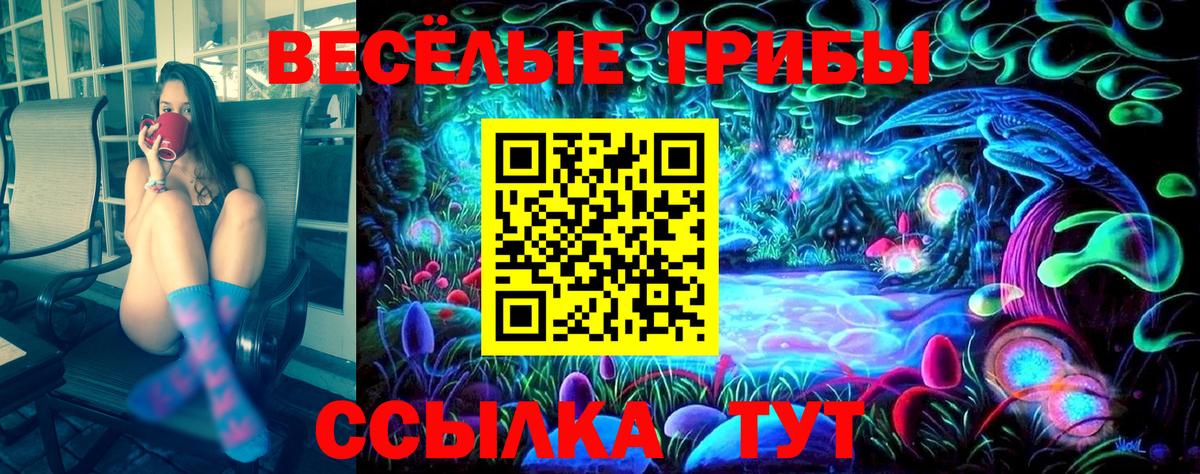 Балтийск  Псилоцибиновые грибы ЛСД  Вход с VPN  Галлюциногенные грибы Psilocybine cubensis 