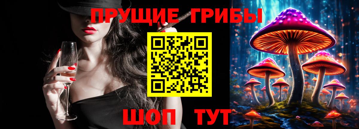 Псилоцибиновые грибы GOLDEN TEACHER Балтийск
